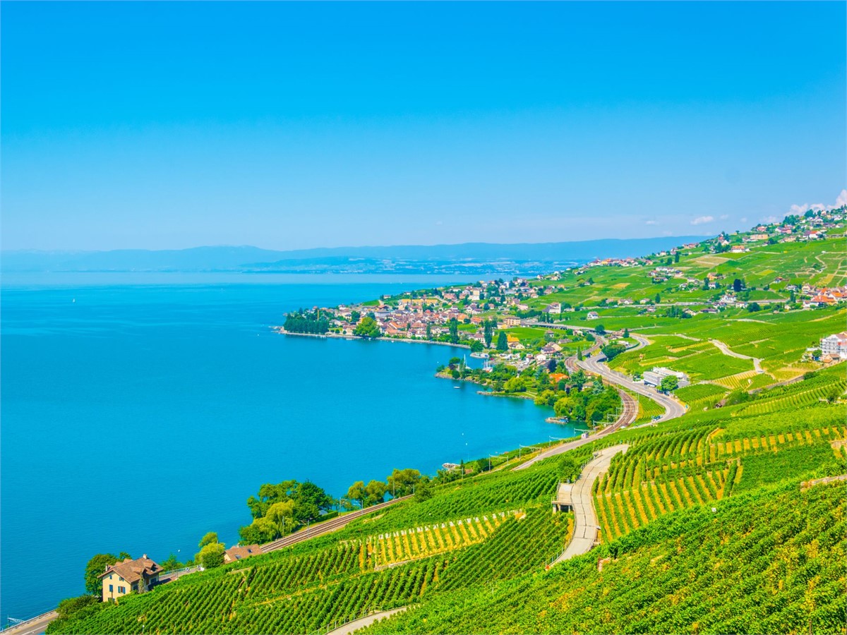 Lavaux Wine region in Lausanne