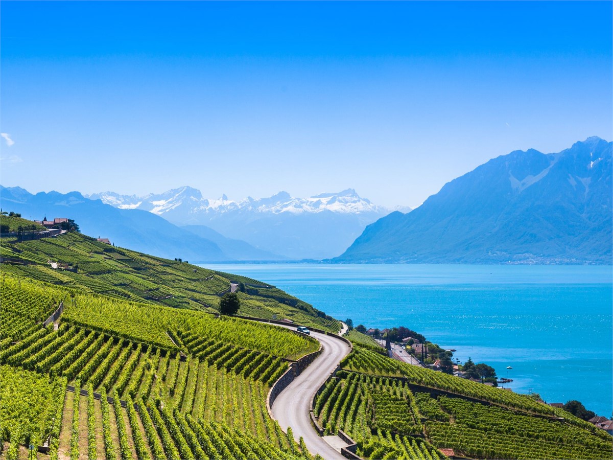 Lavaux Vineyards in Montreux