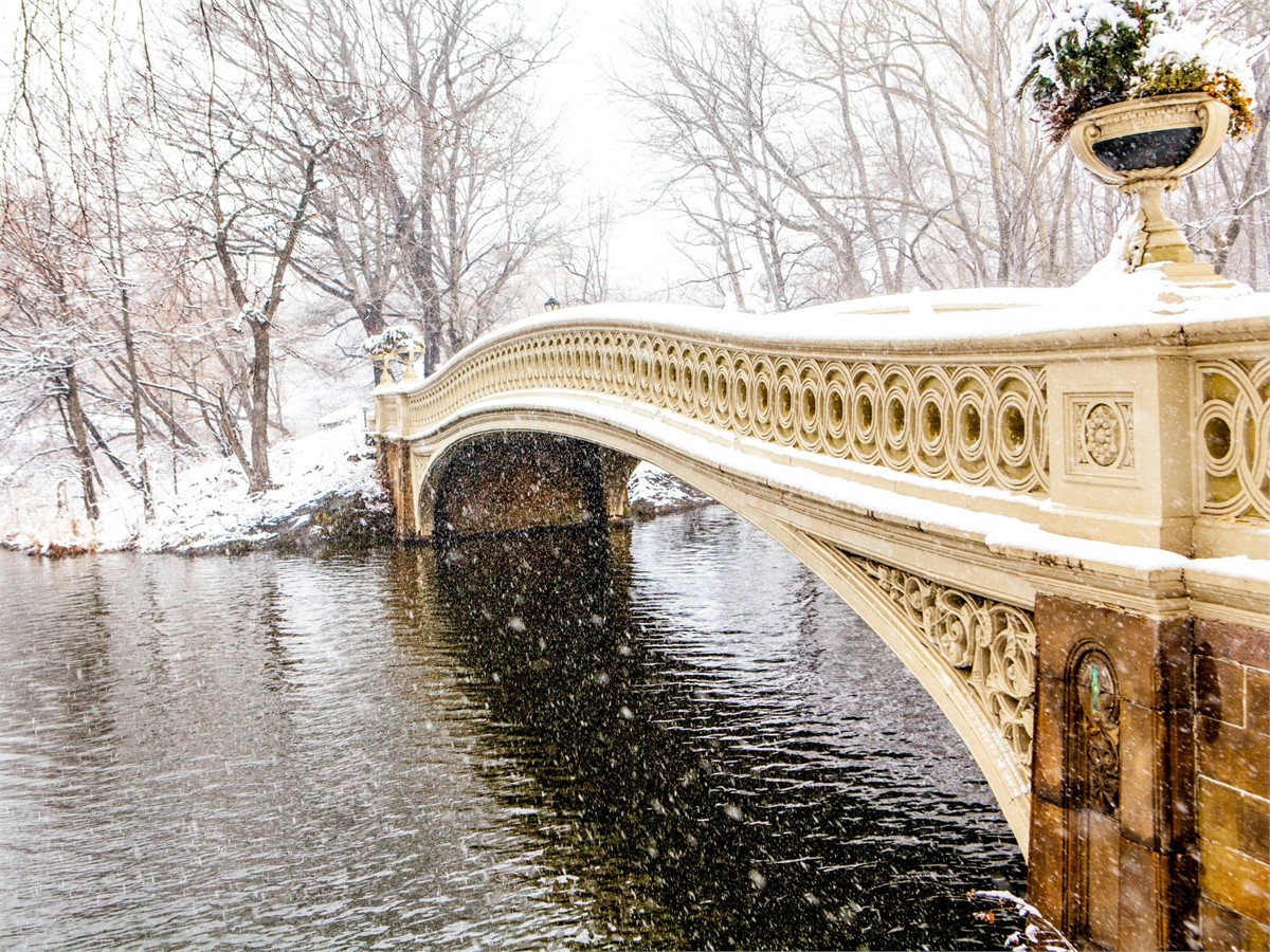Winter im Central Park in New York